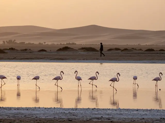 How to Experience the Best of Abu Dhabi with a Discreet and Safe Companion