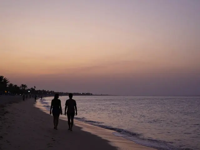 Escort in Abu Dhabi: The Perfect Companion for Your Stay